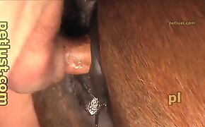 close up scenes, zoophilia fuck porn