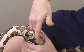 bestiality, orgy